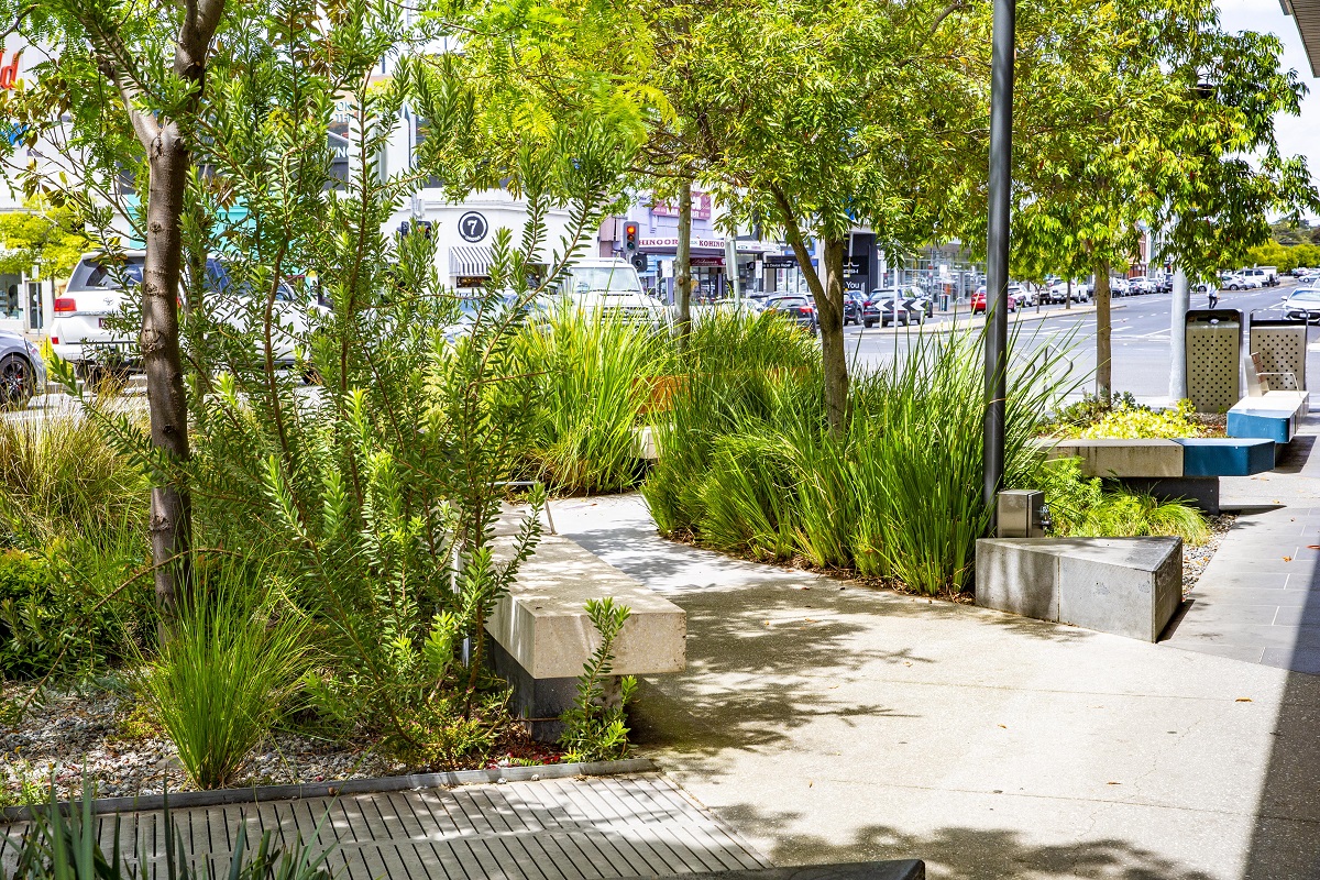 Public seating and greenery along the Malop Street Green Spine with cars in the background